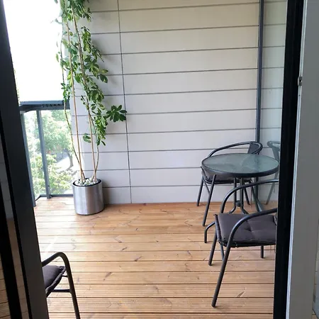Cozy Stylish Spacious Flat * Vilna