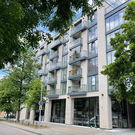 Cozy Stylish Spacious Flat فيلنيوس