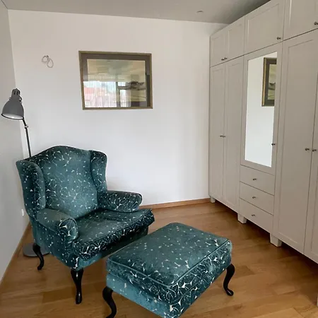 Cozy Stylish Spacious Flat Vilna