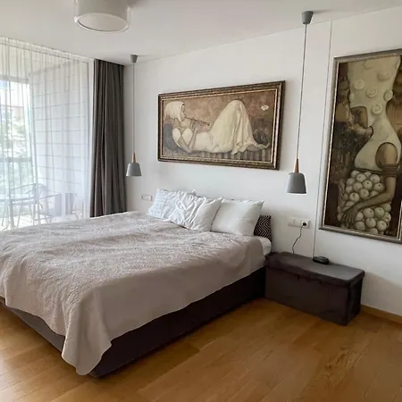 Cozy Stylish Spacious Flat Apartamento Vilna
