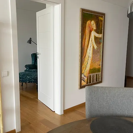 Cozy Stylish Spacious Flat فيلنيوس